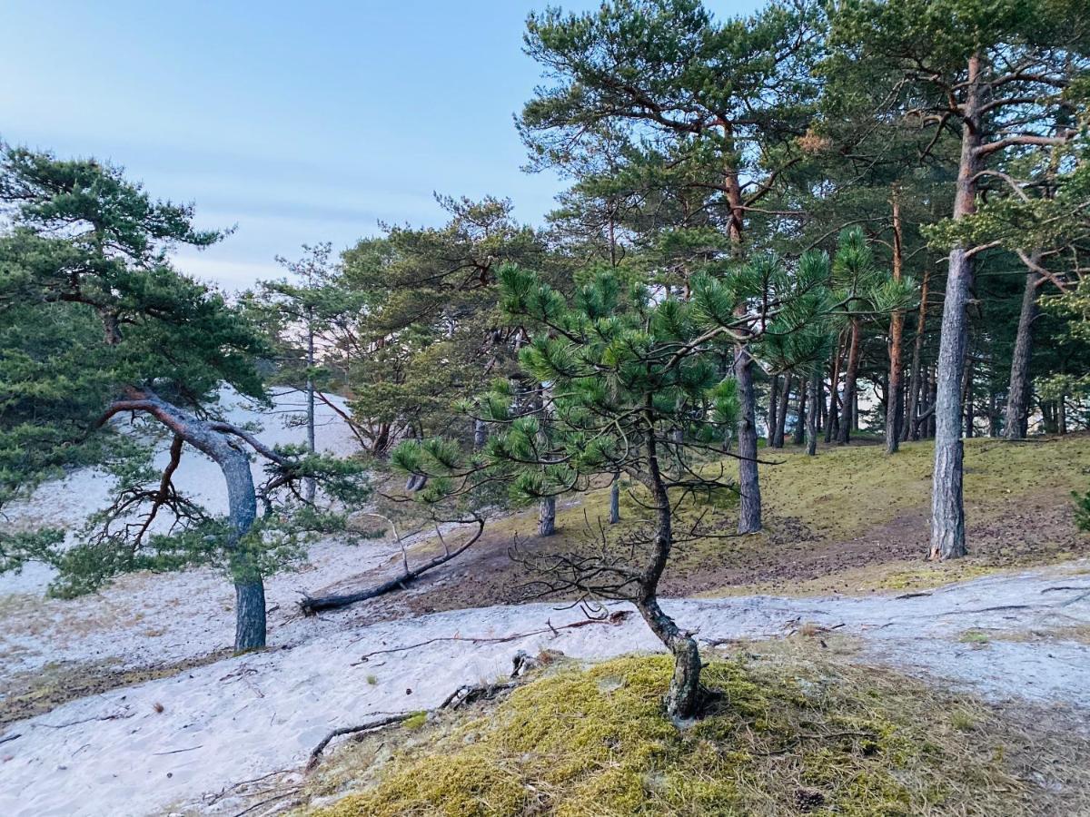 Siedlisko Wytowno Villa Ustka Eksteriør billede